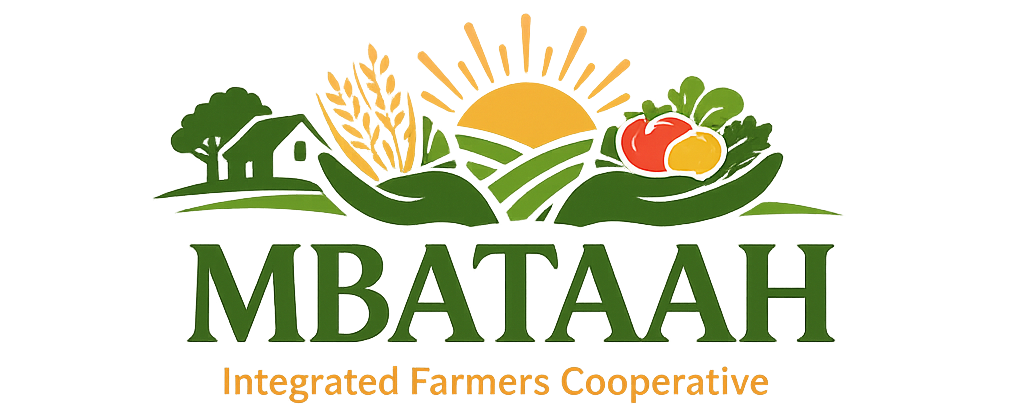 chatgpt image jan 16, 2026, 11 55 37 am